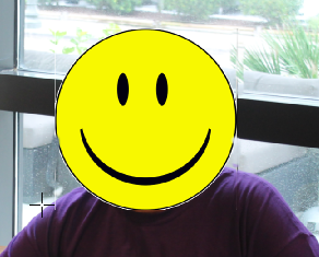 Photo of Reality Check with Smiley Face covering real face